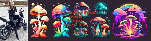 соль курить ск Арсеньев