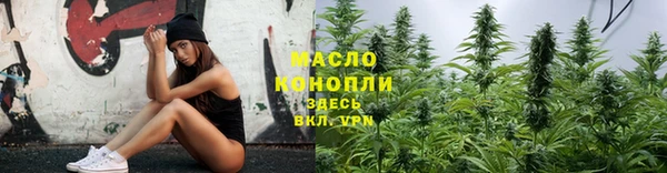 дмт Тавда
