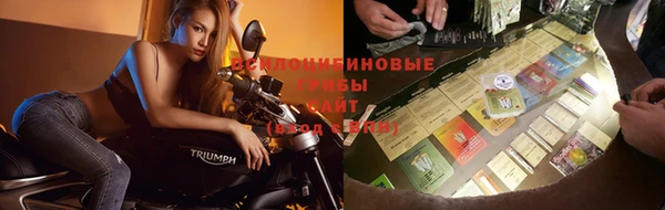 героин Тайга