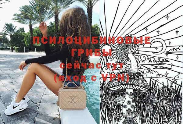 гидропоника Сясьстрой