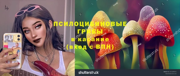 соль курить ск Арсеньев