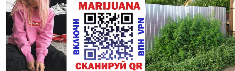 как найти   Покров  МАРИХУАНА OG Kush 